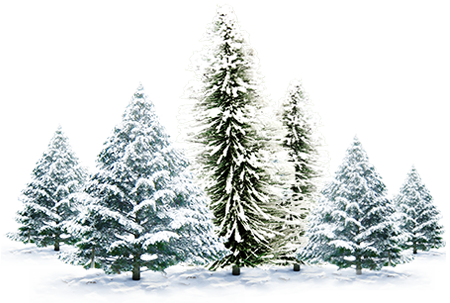 Trees