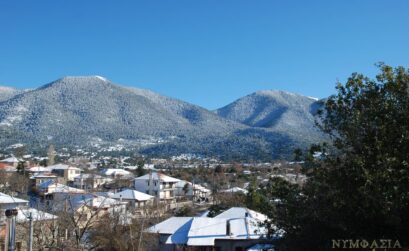 Χριστουγεννιάτικη Νυμφασία