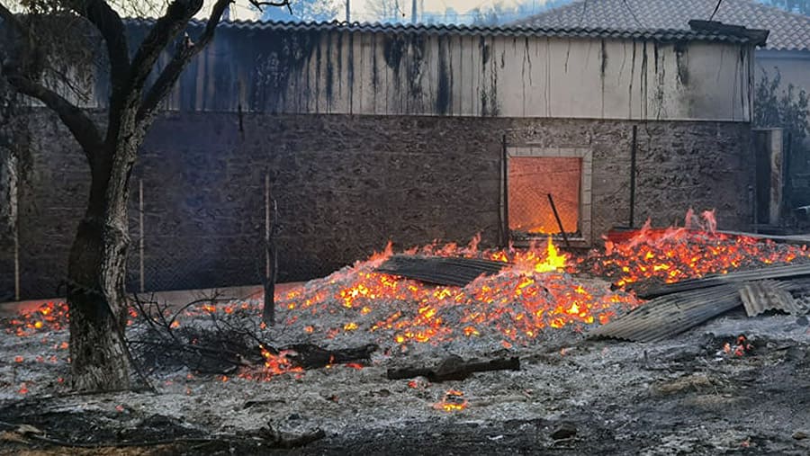 Η Φώφη Γεννηματά άκουσε τους πυρόπληκτους της Γορτυνίας