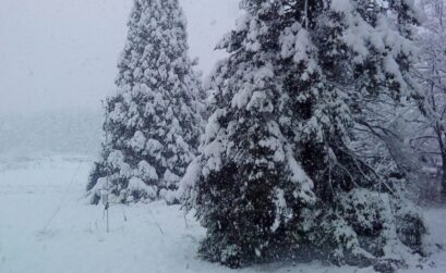 Φλεβάρης με χιόνια στην Νυμφασία
